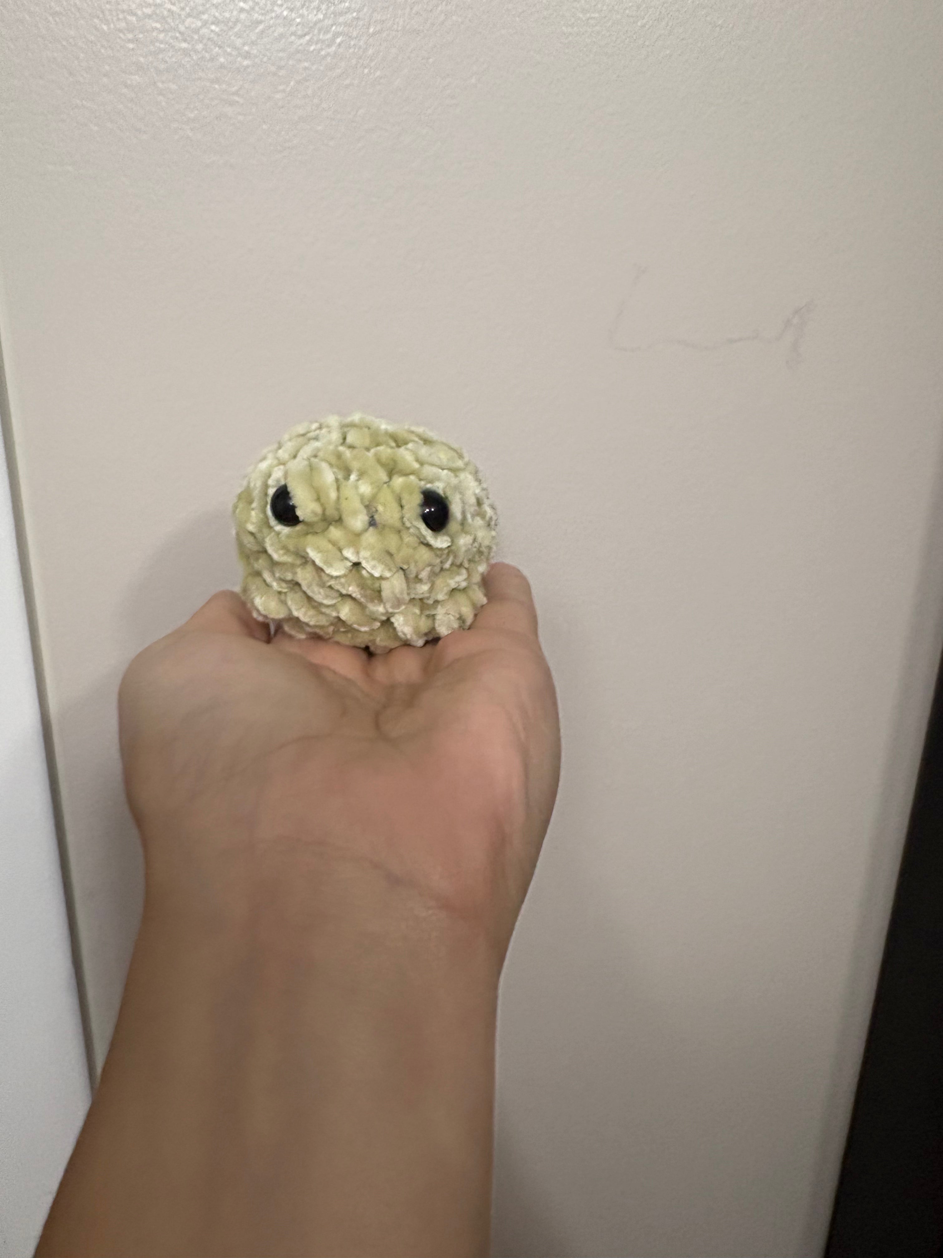 Homemade Derpy Frog
