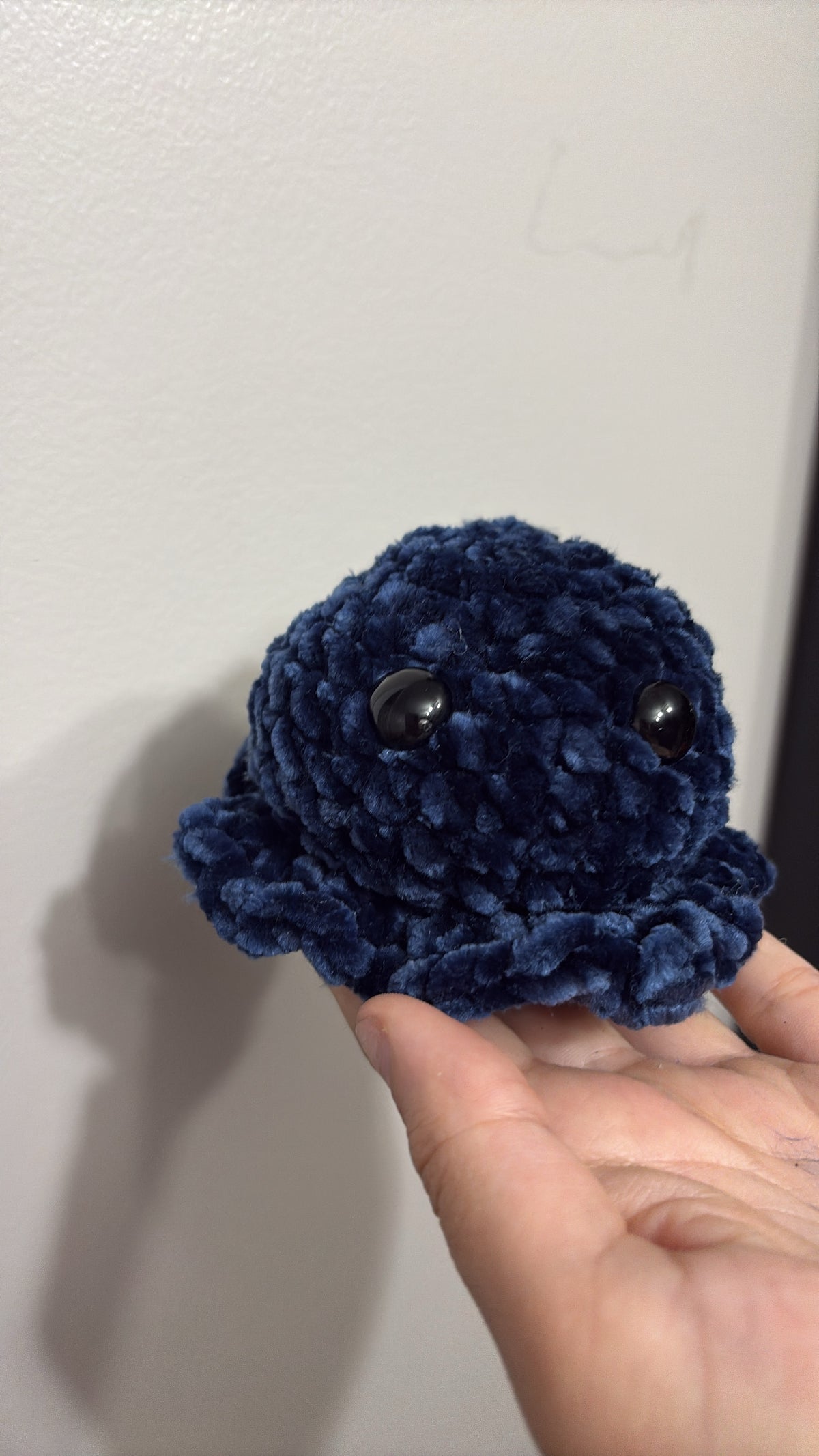 Cute Octopus!