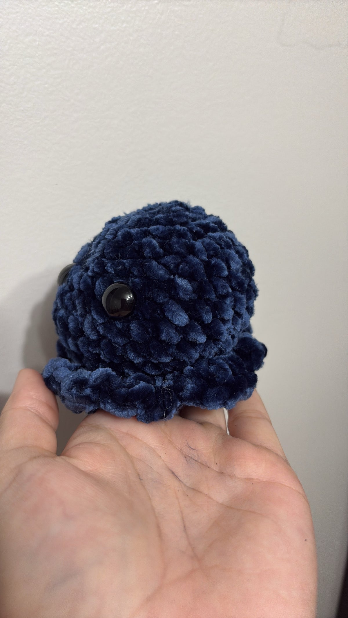 Cute Octopus!