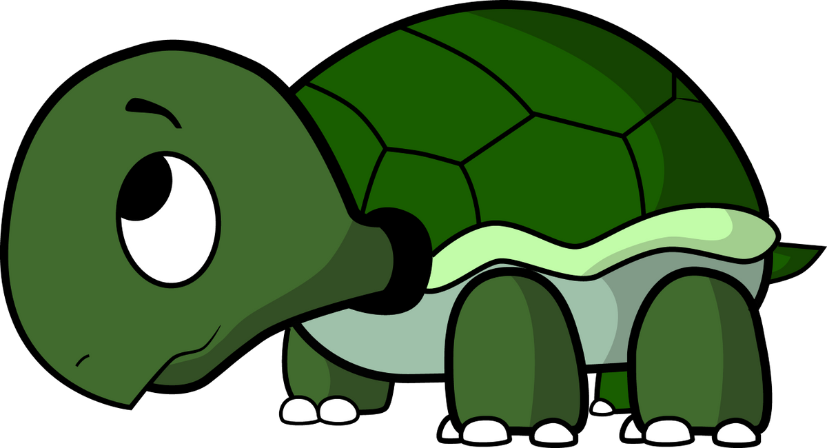 COMING SOON - Turtle with removable shell