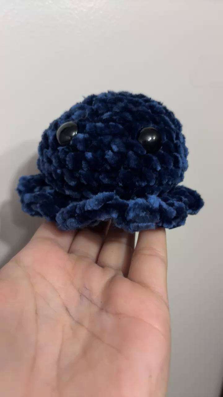 Cute Octopus!